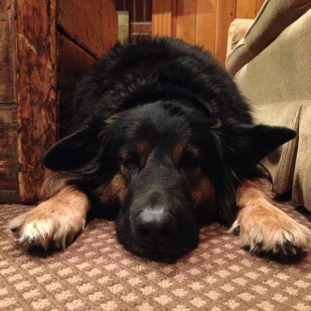 Meet your Posher, Tabitha